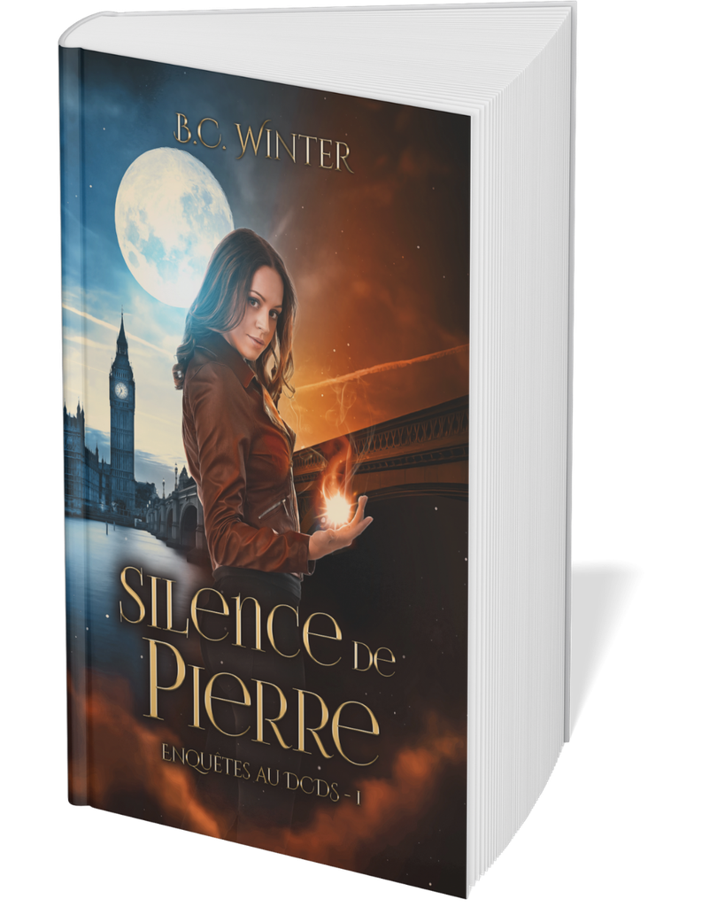 Silence de Pierre - broché