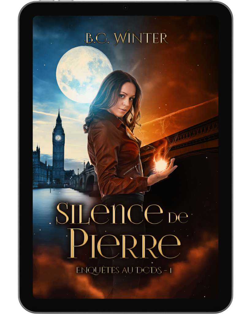 Silence de Pierre - ebook dédicacé