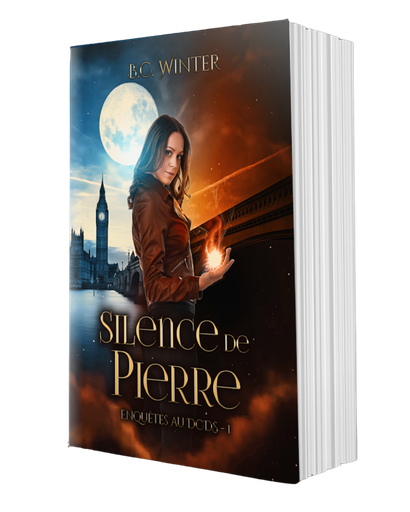 Silence de Pierre - broché